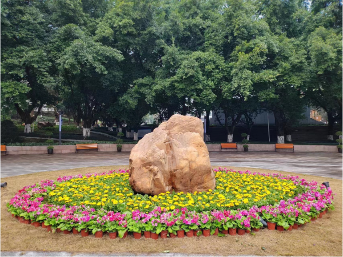 只此青绿  缤纷校园更美丽